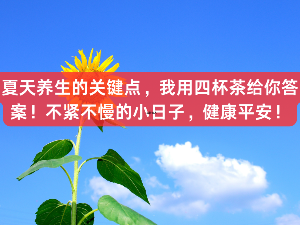 夏天养生的关键点，我用四杯茶给你答案！不紧不慢的小日子，健康平安！插图