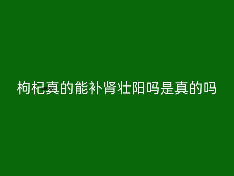 枸杞真的能补肾壮阳吗？揭秘枸杞的真实功效